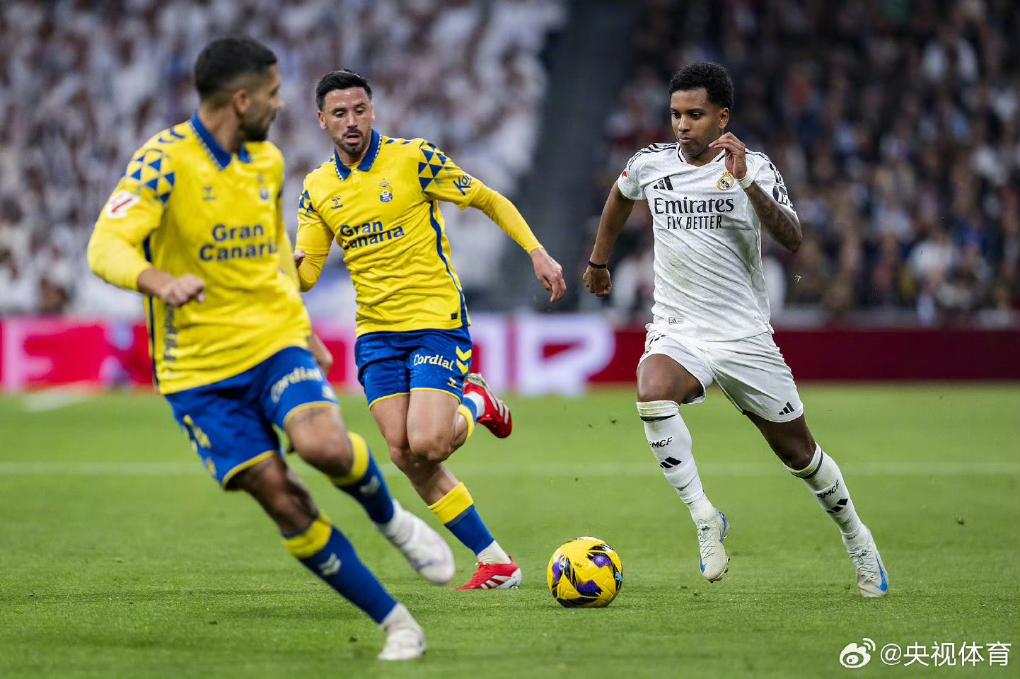 od体育网页版登录入口-帕尔马客场逆袭获胜，积分进一步攀升的简单介绍