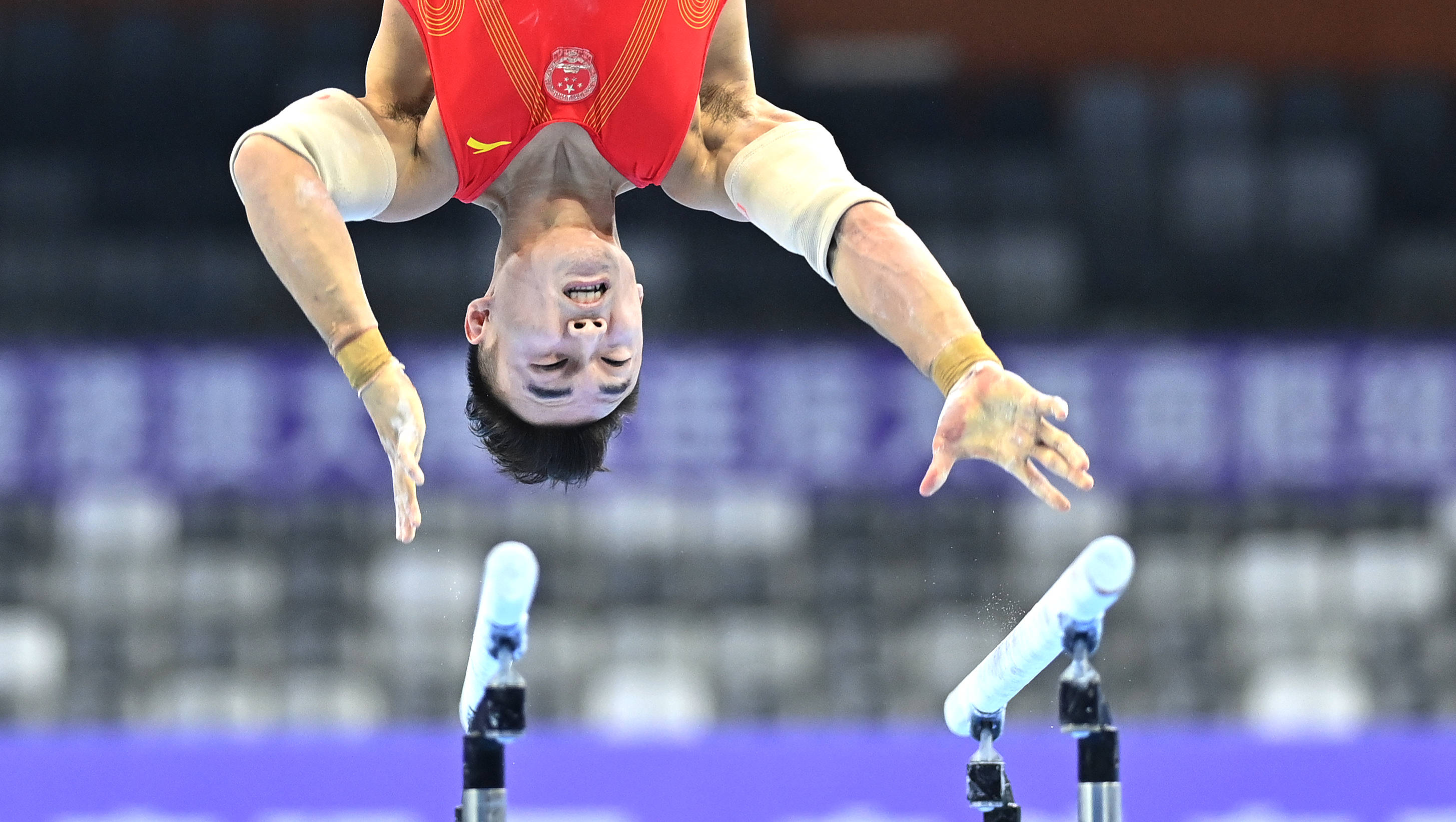 包含意大利体操选手技压群雄，夺得个人全能冠军的词条